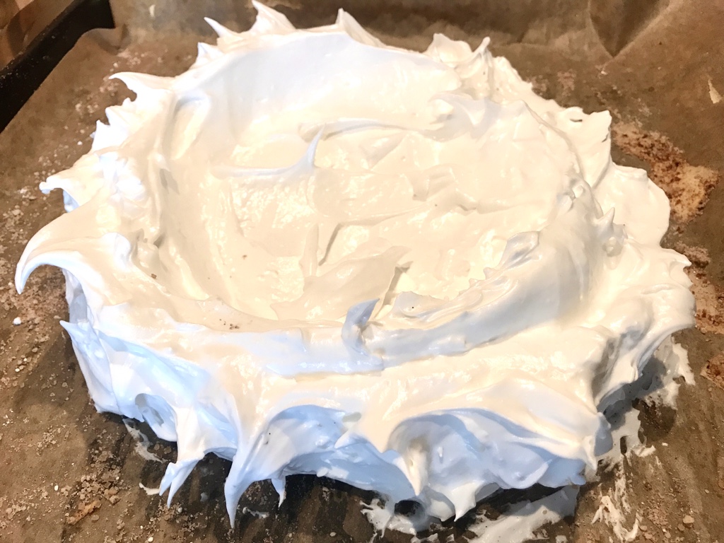 Pavlova1