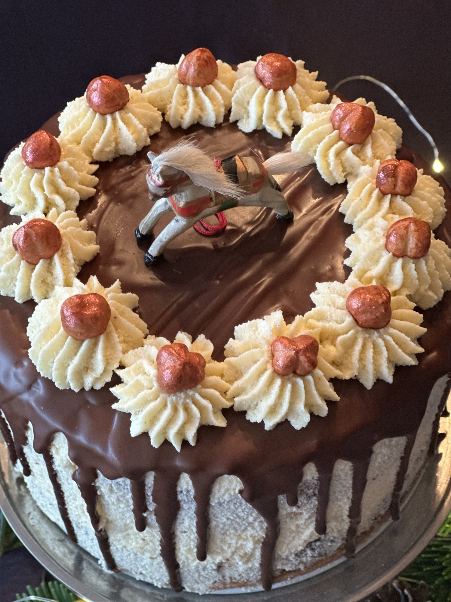 Donauwelle in weihnachtlichem Gewand – Das große Carolinarikum