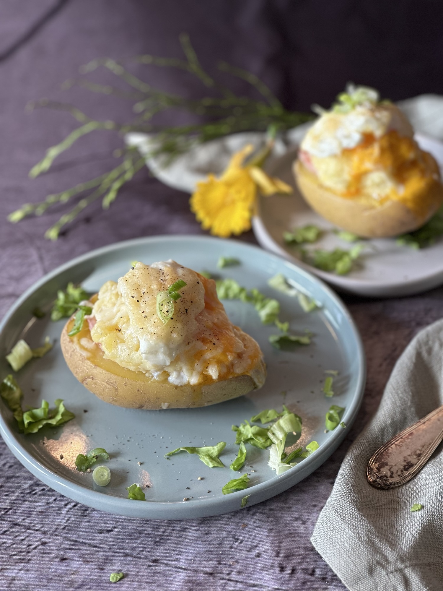 Œufs Suzette – Das große Carolinarikum